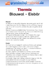 Blauwal - Eisbär.pdf